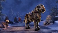 ESO Frostfluch-Pferd Promo.jpg