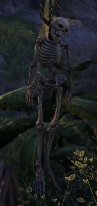 ESO Skelett (Phantomschuld).jpg