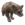 ESO Icon pet bassarisk a basic.png