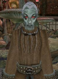 MW Salora Salobar.jpg