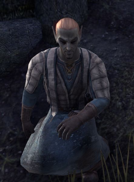 Datei:ESO Akolyth Hlen.jpg