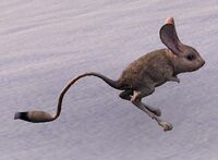 ESO Aschnarbe-Springmaus.jpg