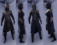 ESO Bretonische Heldenrüstung-w.jpg