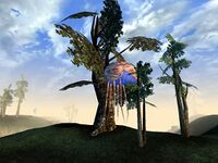 MWQ Kult-Laienheiler 16.jpg