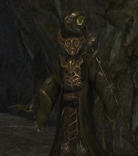 BL Niederer Lich.jpg