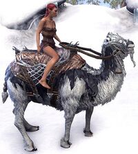 ESO Frostfluch-Kamel Ausdauer.jpg