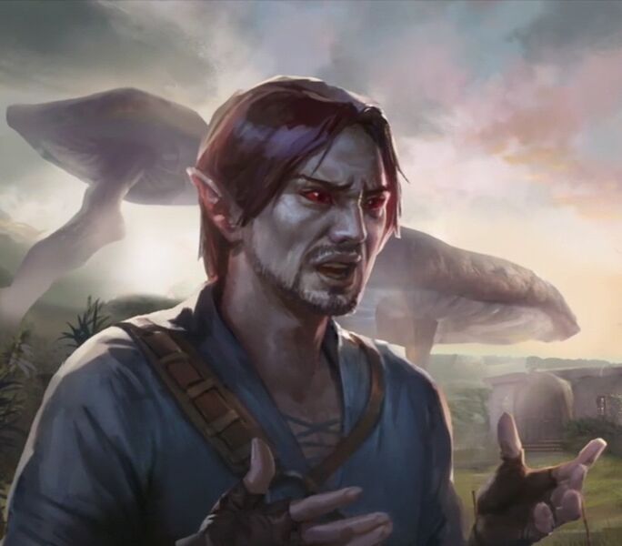 Datei:LG Talym Rend.jpg