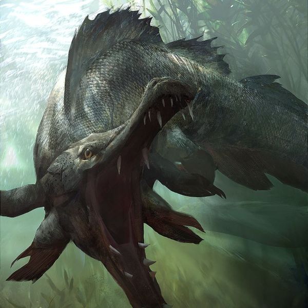 Datei:LG Artwork Schlachterfisch.jpg