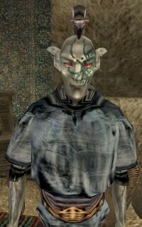 MW Gindas Ildram.jpg