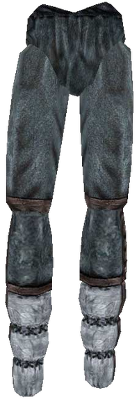 BM Gewöhnliche Hose3.png