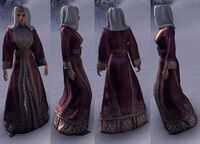 ESO Festliches Wüstengarten-Überkleid-w.jpg