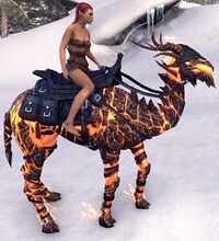 ESO Glutflammenkamel Komplettausstattung.jpg