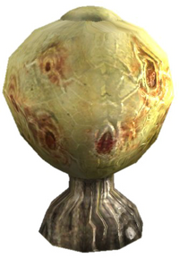 OBL Schreiendes Maul Pflanze.png