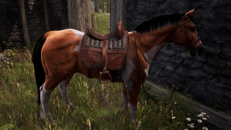 Datei:OBR Blüte.png