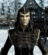 Mitglied der Thalmor.jpg