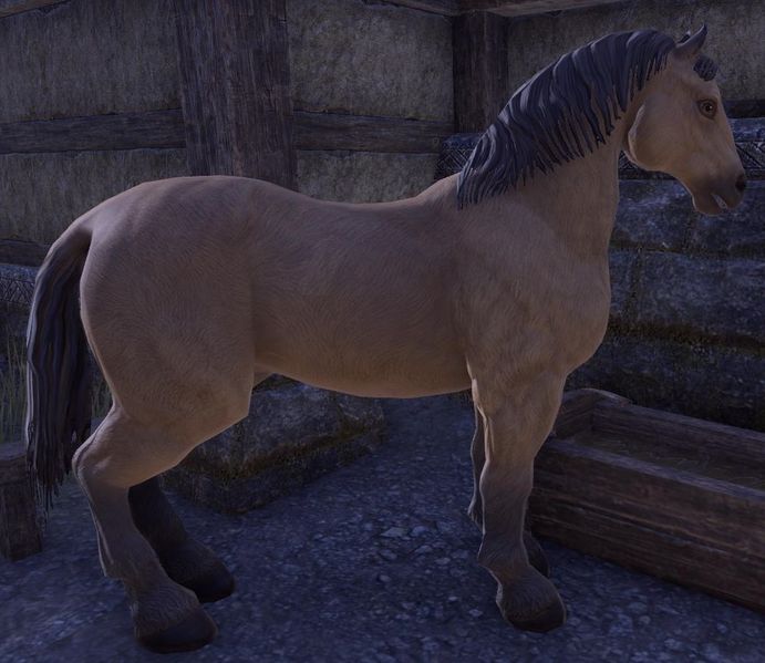 Datei:ESO Brauner.jpg