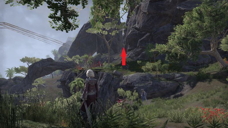 Datei:ESO Schatzkarte Südliches Elsweyr I - Lage 1.jpg