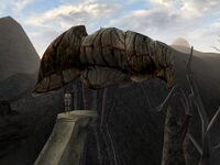 Maar Gan-Schlickschreiter.jpg