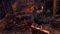 ESO Dämonisches Huhn Promo.jpg