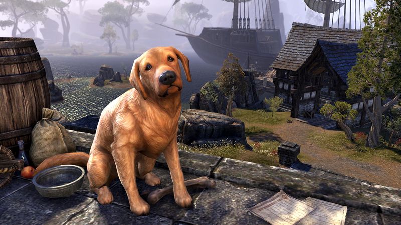Datei:ESO Bravil-Apportierhund Promo.jpg