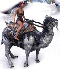 ESO Frostfluch-Kamel.jpg
