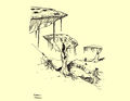Zeichnung der Kaiserschirmpilze