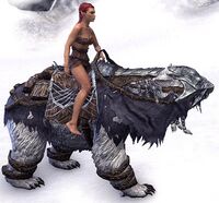 ESO Frostfluch-Bär Komplettausstattung.jpg