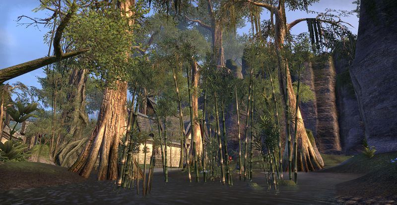 Datei:ESO Bambuswald.jpg