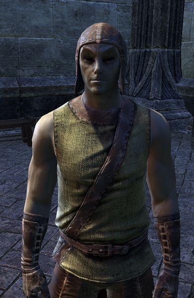 Datei:ESO Myl Falas.jpg