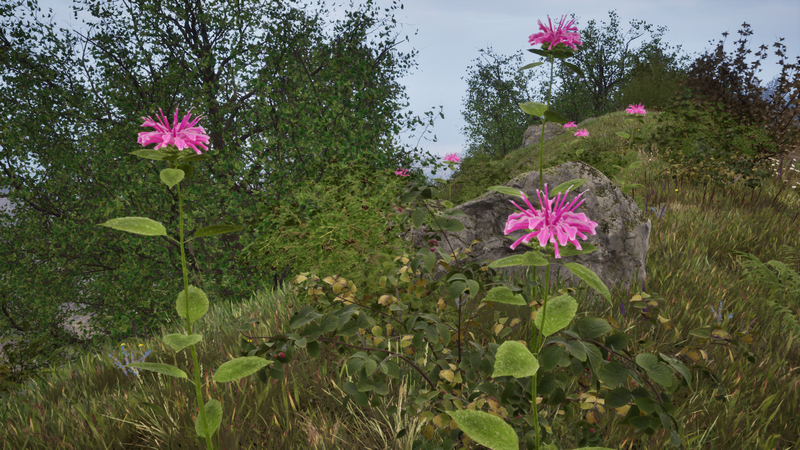 Datei:OBR Bergamotte.png