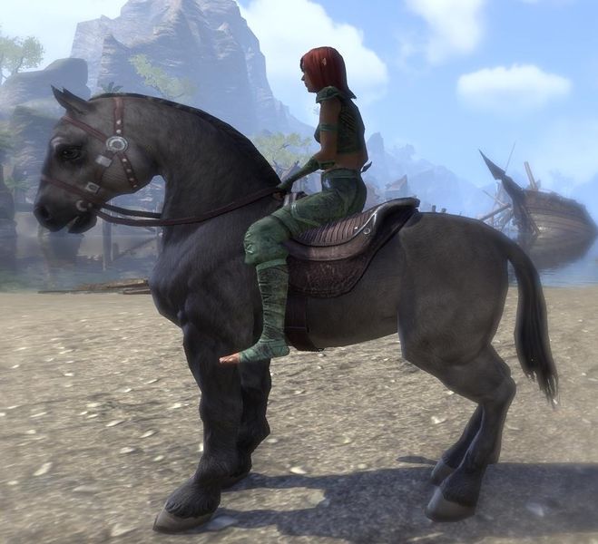 Datei:ESO Grauer Yokuda-Stürmer.jpg