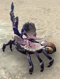 ESO Korallenkrabbe 1.jpg