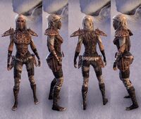 ESO Aschländerrüstung des Kageshstamms-w.jpg