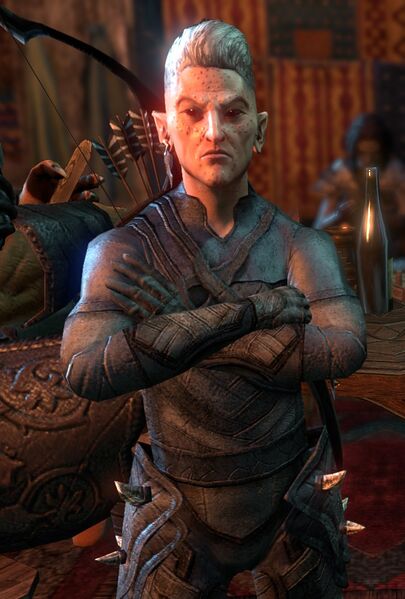 Datei:ESO Riparion.jpg