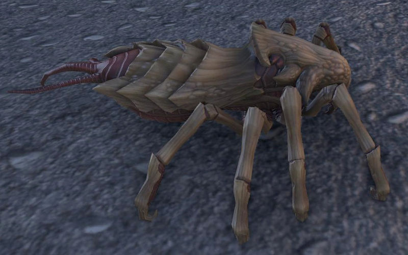 Datei:ESO Kwamaskrib.jpg