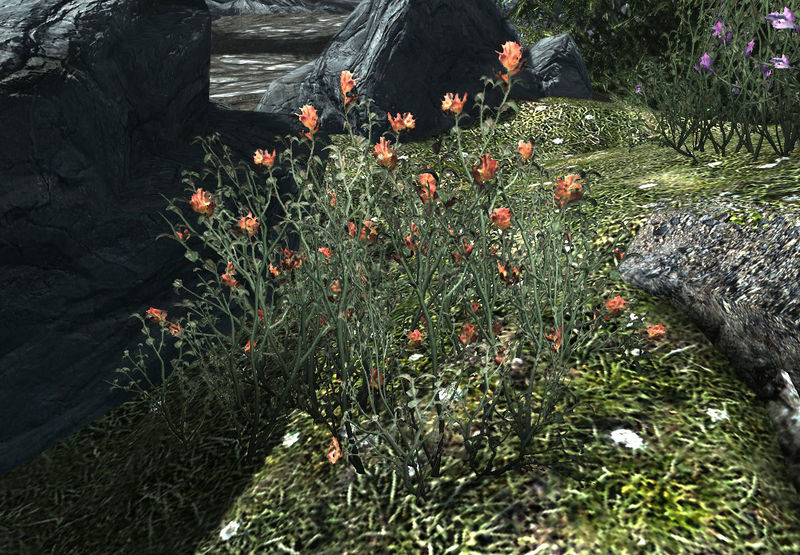 Datei:SR Rote Bergblumen.jpg