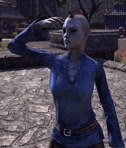 Datei:ESO Indrasa Vadryon.jpg