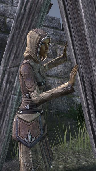 Datei:ESO Innuwae.jpg