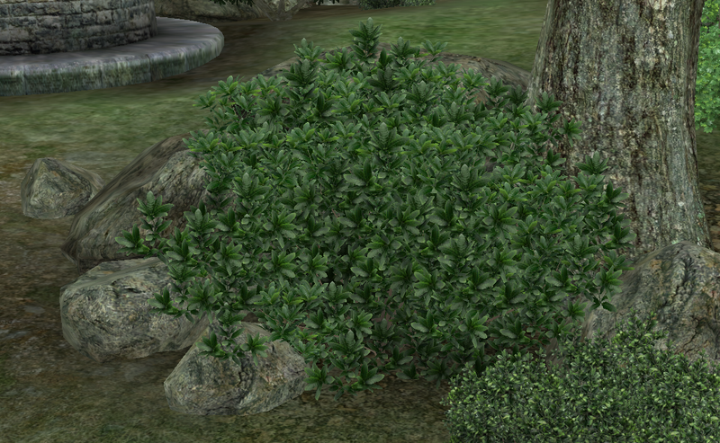 Datei:OBL AzaleeGrün.png