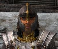 OBL Hauptmann Steffan.jpg