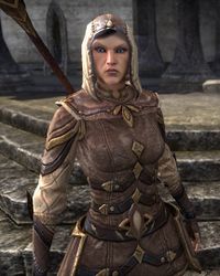 ESO Hauptmann Landare.jpg