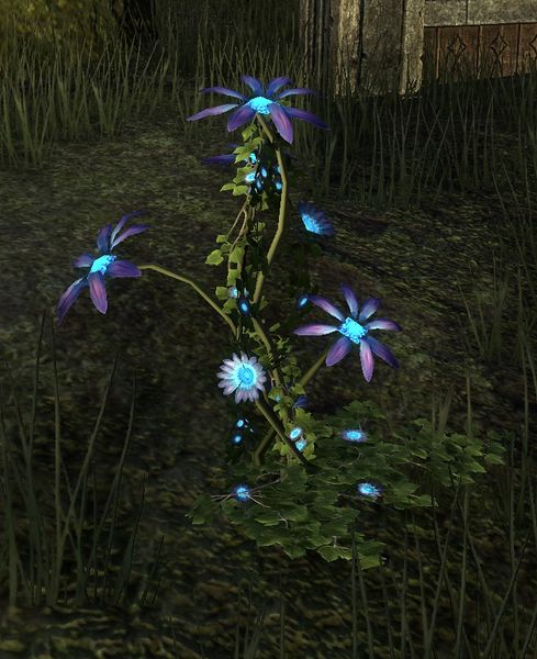 Datei:ESO Nereïdenlächeln.jpg