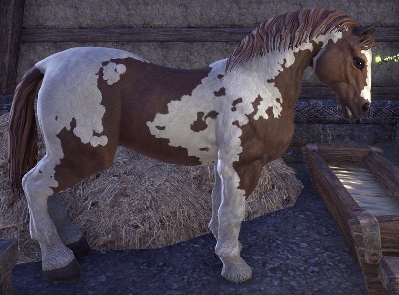 Datei:ESO Tobiano.jpg