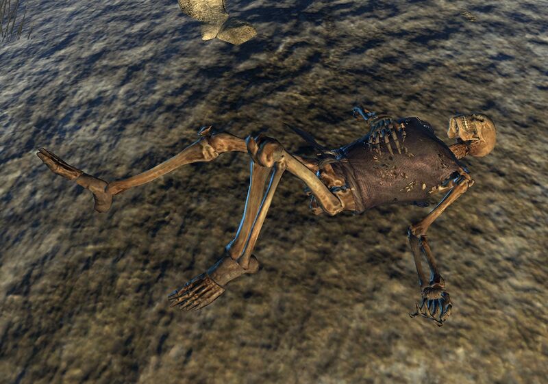 Datei:ESO Uggissar Skelett.jpg