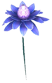 Mana-Blüte mit blauer Blüte
