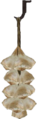 Ein Knoblauchbüschel