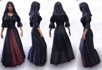 ESO Abendkleid-w.jpg