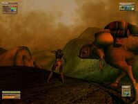 Morrowind Concept Screen, Guar.jpg