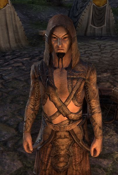 Datei:ESO Nothrolion.jpg