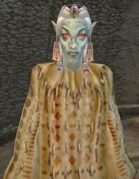 MW Nibaani Maesa.jpg